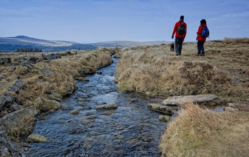 dartmoor liz aidan and scooby by the leat.jpg