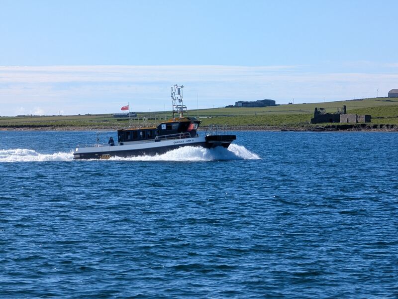 PXL_20260518_082225114.jpg