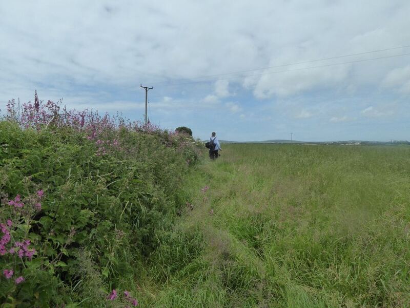 P1010380.JPG