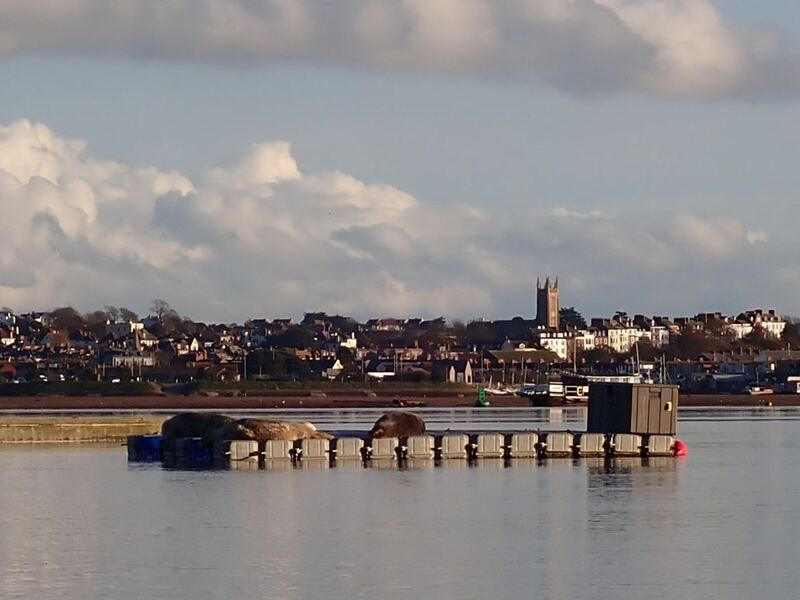 PC030163.JPG