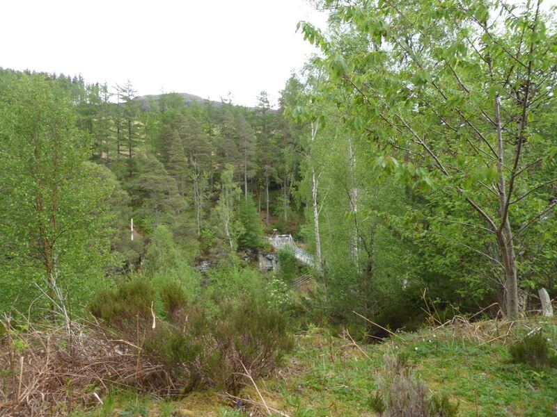 P1130960.JPG