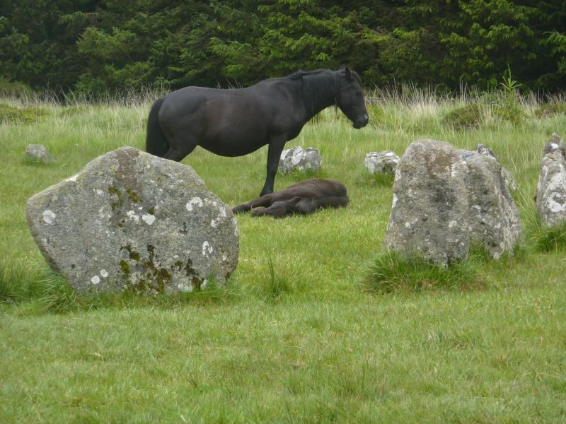 Another day another stone circle