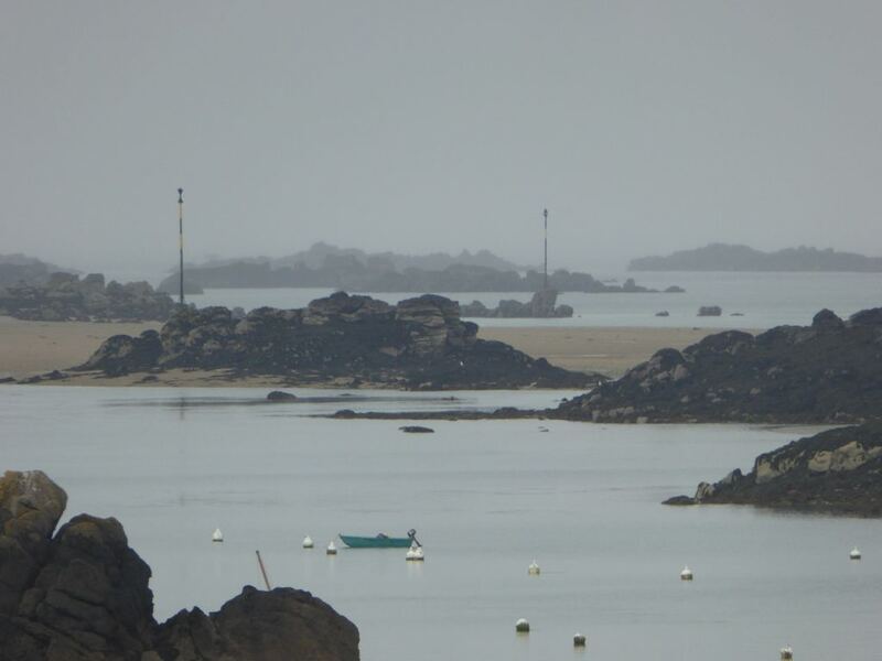 P1050995.JPG