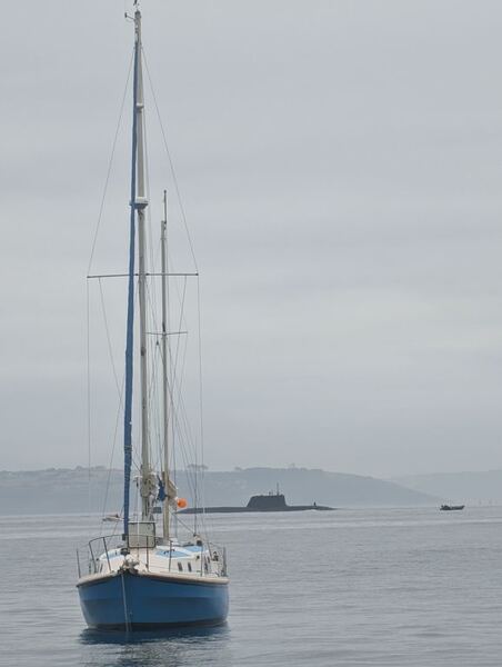 PXL_20250629_084045851.jpg