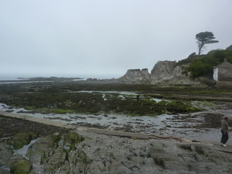 P1020233.JPG