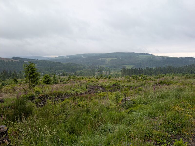 PXL_20260618_141425954.jpg