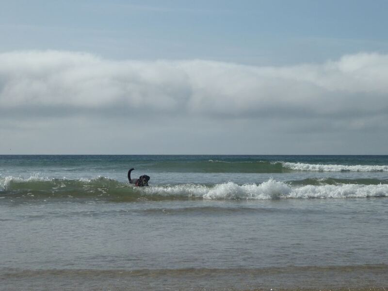 P1100384.JPG