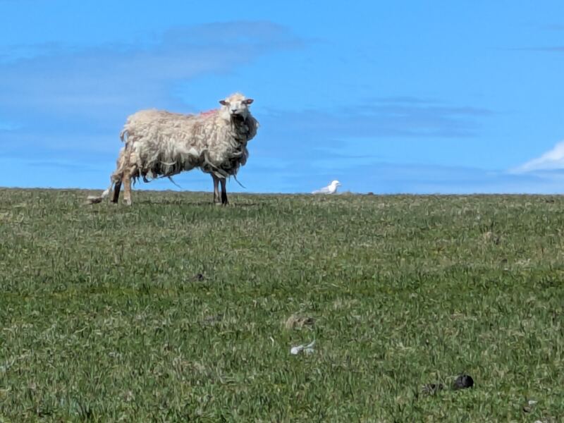 West Burra - Kettla Ness