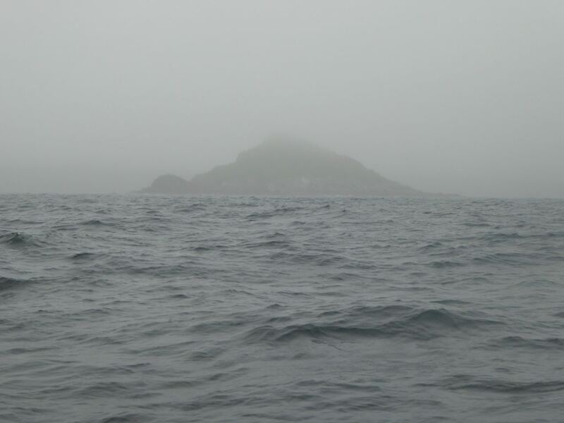 P1010454.JPG