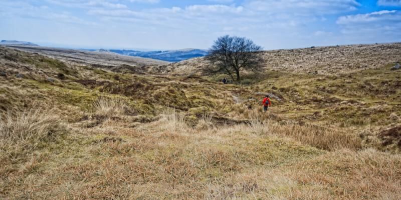 dartmoor old workings.jpg