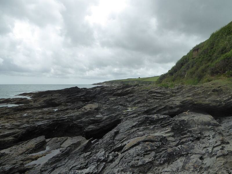 P1010539.JPG