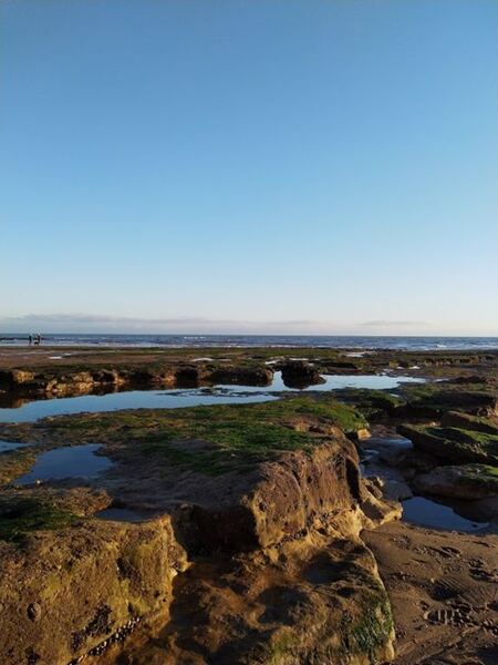 Exmouth Xmas dog walk