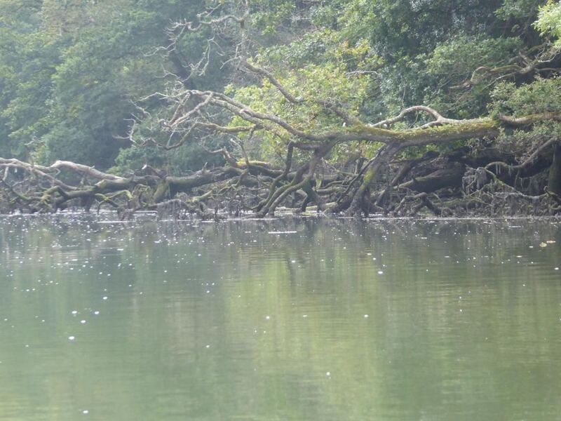 P1180169.JPG